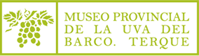 Museo Provincial de Uva del Barco 